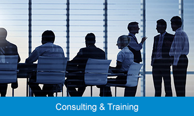 consulting and Training Services400